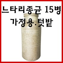 느타리버섯종균 1박스 15병 느타리 표고 성형 버섯 종균 텃밭 주말농장 느타리 나무 종균 버섯 키우기 재배, 느타리종균(병) 1박스(15병)