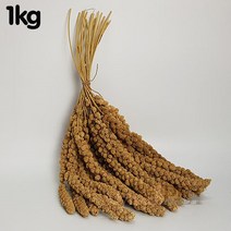 옐로우 밀렛 스프레이 새모이 앵무새 잉꼬 햄스터 다람쥐, 옐로우밀렛 스프레이 1kg