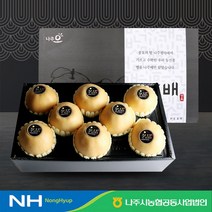 나주농협 신고배 선물세트 5kg 7~9과 나주배 23년산 햇배 명절선물