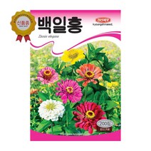 경신종묘 꽃씨앗 백일홍(혼합종) 200립
