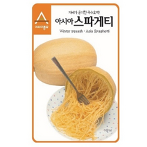 재배용이 스마게티 국수 호박 씨앗 25립