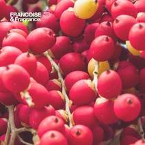 레드팜 오일, 100ml