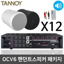 탄노이 OCV6 팬던트 천장형 전시회 공연장 스피커 12