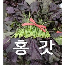 홍갓 조선갓 2.5kg 1단 발품장터