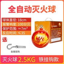 차량용 소화기 가정용 휴대 캠핑 스프레이 거품소화기 K급 업소용 전기차 던지는 미니 투적용 co2 이산화탄소 분말 소형, I