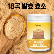 시니어 속답답 소화안될때 탄수화물 단백질 지방분해 발효 곡물효소 황국균 귀리 식이섬유 엔자임 효소가루 셀룰라아제 락토바실러스 매일 하루 높은 역가수치 효소유산균 가루 분말