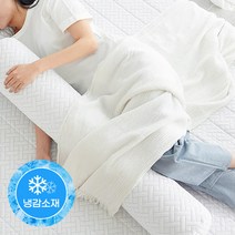 [퓨어슬립] 쿨쿨 아이스 온도조절 바디필로우, 단품