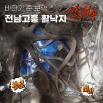 국산 생물 낙지 [산소포장] 산낙지, 활낙지10미