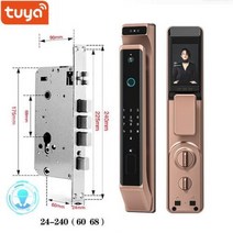 지문자물쇠 안전고리 사물함자물쇠 Tuya 와이파이 전자 생체 지문 인식 스마트 도어 잠금 장치 암호 3D 얼, 01 TY3DRose