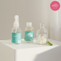 [올리디퓨저] 섬유스프레이 120ml + 디퓨저 세트, 버가못