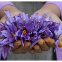 SPAIN SAFFRON (국내 포장), 사프란향신료2개