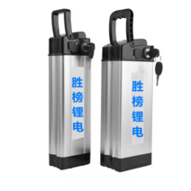 충전용 전기 배터리 48v 12ah 20ah 30ah 리튬 배터리, 48v20ah  370x135x89mm