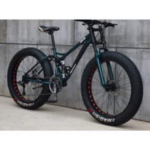 광폭타이어 MTB 하드테일 바퀴큰자전거 팻바이크, 30단화이트스포크 휠24인치