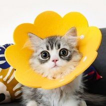 고양이 강아지 펠트 부직포 넥카라 초경량 목보호대, 2펠트펫넥카라-핑크S