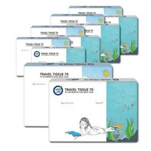 깨끗한나라 여행용티슈 70매X10개