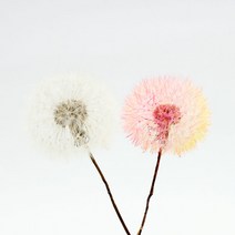 레진아트/문진아트/만들기재료/민들레홀씨, _11190_흰색