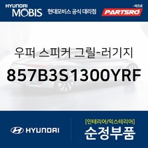 우퍼 스피커 그릴-러기지 사이드 좌측 (857B3S1300YRF) 더뉴 싼타페 현대모비스부품몰