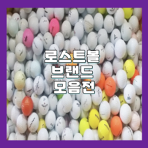 타이틀리스트 캘러웨이 볼빅 타이거우즈 로스트볼 2피스 3피스 유명브랜드 중고골프공 초특가 판매, 1개