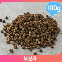 피로회복 복분자 약초 100g 기력보충 건강 영양 약재