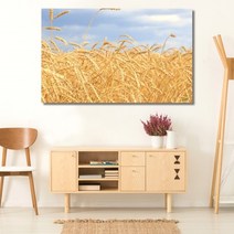 셀러허브 벼이삭 가을 와이드 풍경 사진 그림 액자 40호 100x63cm, 캔버스액자(옆면연장)