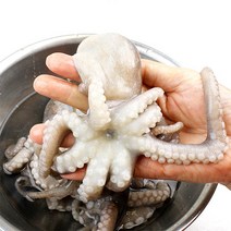 전복마을 세발낙지(소)10마리(마리당 60g내외), 단품