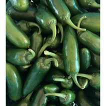 생할라피뇨고추 퍼펙트 1kg 3kg 국내산 산지직송 피클 장아찌 아삭이 고추 엄지고추 할라피뇨 3kg, 1box