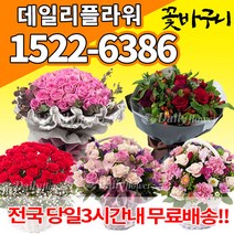 꽃바구니 꽃다발 생일 출산 전국꽃배달 프로포즈 결혼기념일 서울 강남 인천 대전 광주 울산 대구 부산 수원 용인 천안 청주 전주 포항 창원 성남 분당 부천, (선택34)자나장미혼합