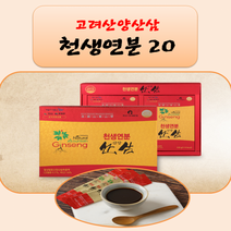 고려산양산삼 천생연분 20 인삼 홍삼 흑도라지 흑마늘 건강식품 액상차 명절선물 부모님 건강, 상세페이지 참조, 상세페이지 참조