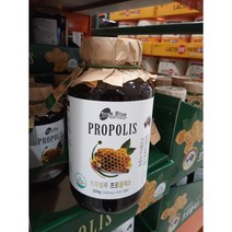 트루블루 프로폴리스 500MG X 600 캡슐 코스트코