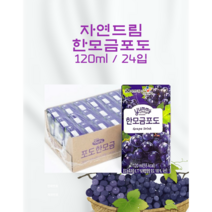 자연드림 해피푸르츠 포도한모금 120*24개입, 120ml, 24개