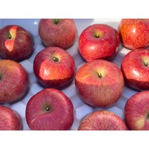 [호야네농장] 거창 부사 꿀맛나는 사과, 5kg 중대과 (13과~15과)