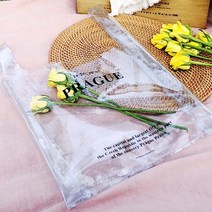 클리어 투명 데일리백 나들이 도시락 가방 바캉스비치백 소풍 여행보조 캠핑비닐백
