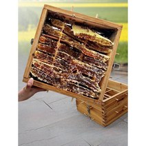 전나무 벌통세트 양봉세트 격자상자벌집 밀랍 사각, (벌통/양봉통/3층/창/3개)