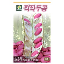 적작두콩 씨앗 30립 OK, 1개