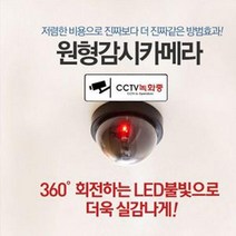 MXP619454시시티비 펫캠CCTV 모형감시카메라 베이비캠 아기캠, 단일옵션