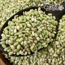 힘찬농부오달봉 2022년산 국산 녹미 녹진주 녹색쌀, 1개, 500g