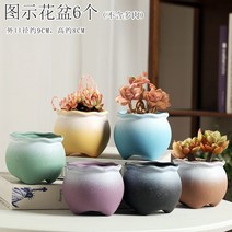 다육화분 다육이 심폴 화분 식물 미니 화분세트, 도자기, 옵션56