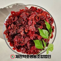 국내산 산수유 제천약초영농조합법인, 500g, 1, 1개