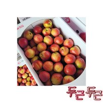 제철 털 2kg내외 (소과10-12과실중량) 최대쿠폰가 104원, 천도 복숭아 5kg내외 (대과/140g내외/포장재포함)