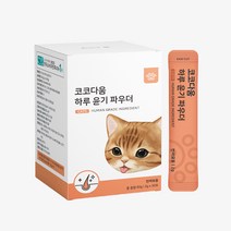 코코다움 하루윤기파우더 고양이 피부영양제 털빠짐 링웜 피부염, 1박스