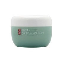 일리윤 히알루론 모이스춰 수분크림 100ml 데이크림