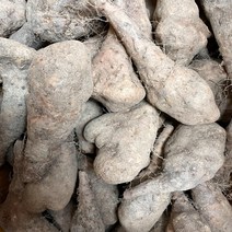 농랑부랑 22년 안동마 햇마 산약마 산마 5kg 10kg