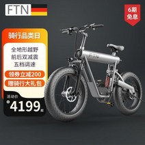 전기자전거 신형 리튬배터리 오프로드 20인치, 그레이【표준품】, 48V+10Ah 40km