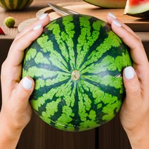 [특등급] 가락청과네 애플수박 9kg 수박화채 화채 수박화채만드는법 고창수박 무등산수박 고당도수박, 상세페이지 참조, 상세페이지 참조