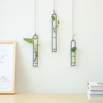 후니네가게 화분 행잉 플랜트 플랜테리어 인테리어 예쁜 화병 프레임 벽 걸이, 중형