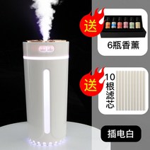 차량용 공기청정기 파워 에코 차량 자동차, 화이트【플러그인】디퓨저 6병 + 필터 10개 증정