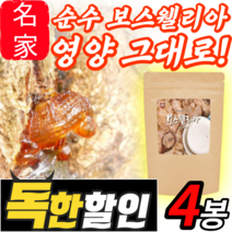 보스웰리아 분말 가루 파우더 수지 100% 부모님 할머니 할아버지 시부모님 노인 40대 50대 60대 70대 보스 보슬 보수 웰리아 넬리아 렐리아 보슬리아 보수엘리야 보셀리아 차, 4팩 *인기 상품*, 200g