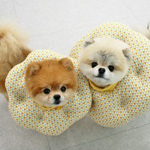 강아지넥쿠션 ufo 우주선 모양 중성화 넥카라 꿀잠 목쿠션 소형견 후라이스 강아지목깔대기