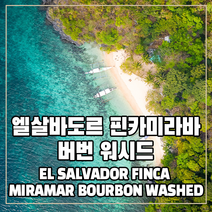 (커피생두) 28 엘살바도르 핀카미라바 버번워시드1kg, 1kg, 1개