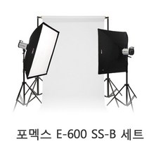 포멕스 E600 SS-B 세트 촬영조명 및 배경 결합 의류촬영 제품촬영 스튜디오, 1개, E600 조명+하프사이즈(135cm)매직폴배경세트